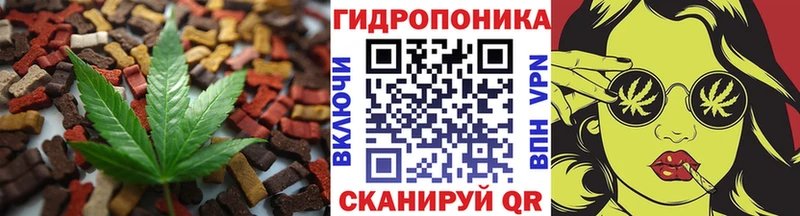 Еда ТГК конопля  где купить   Тара 